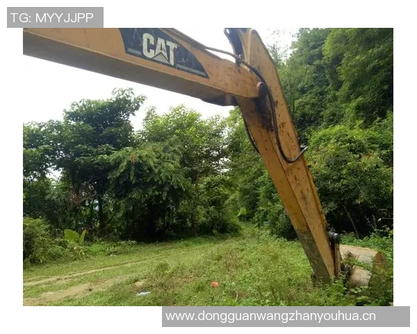 都灵希望之星遭遇重伤缺阵719天身价从2500万跌至仅剩250万