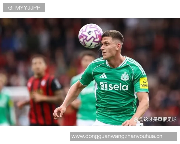 埃迪豪透露纽卡伤病情况博特曼缺席训练霍尔无缘热刺之战 埃迪豪透露纽卡伤病情况博特曼缺席训练霍尔无缘热刺之战