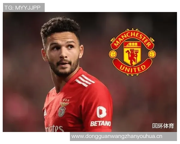 凯恩解约金条款曝光6500万欧元仅可在冬窗激活 凯恩解约金条款曝光6500万欧元仅可在冬窗激活