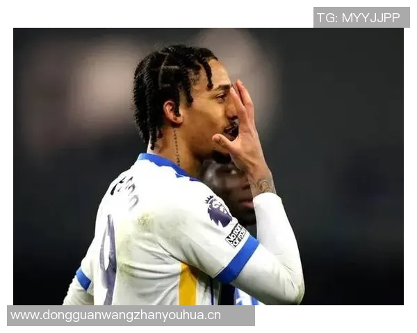 切尔西对马雷斯卡未来进行全面评估引发转会市场猜测