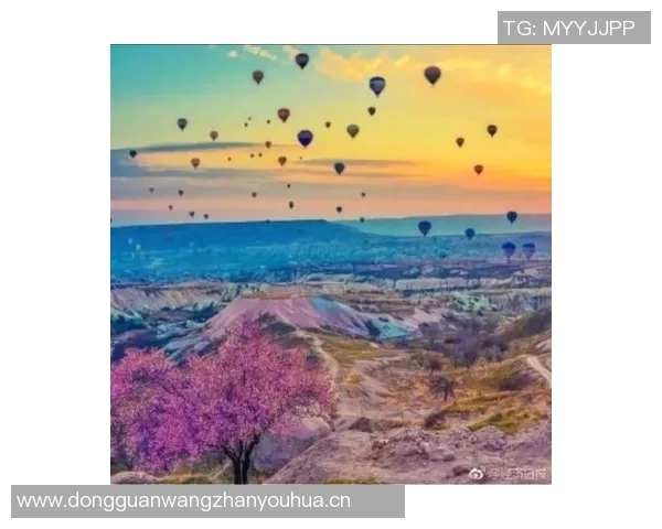 赛斯感慨湾区给予的爱与支持争冠之路充满激情与期待 赛斯感慨湾区给予的爱与支持争冠之路充满激情与期待